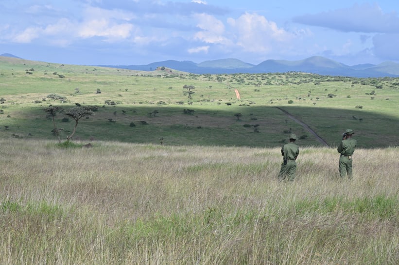 Ranger in Lewa