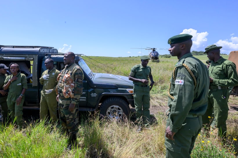 Ranger-Einsatzteam in Lewa.