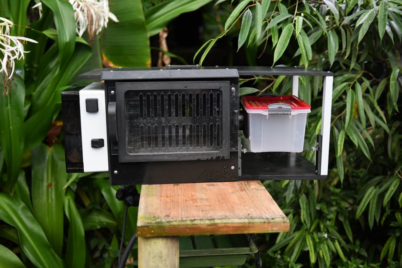 Prototyp zum Mausmaki-Monitoring im Masoala Regenwald.