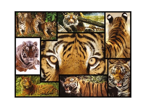 Tiger Puzzle von Ambassador