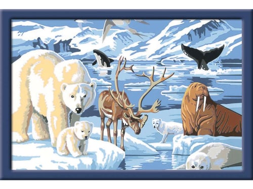 Malen nach Zahlen Tiere in der Arktis von Carlit + Ravensburger
