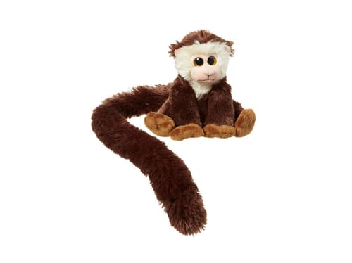 Capuchin Long Tail von Nature Planet