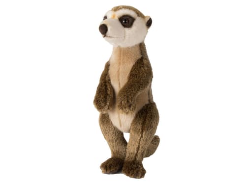 WWF Erdmännchen