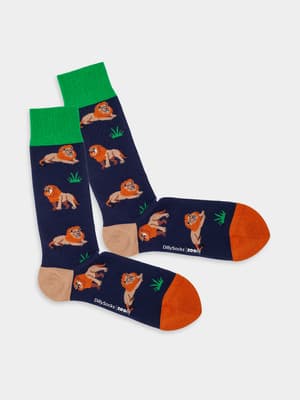 Foto: DillySocks, Thomas Veit Produktbild der DillySocks-Panthera-Kollektion, Sujet Löwe.