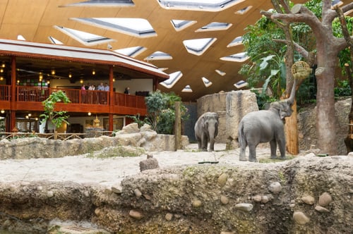 Thailodge im Kaeng Krachan Elefantenpark im Zoo Zürich