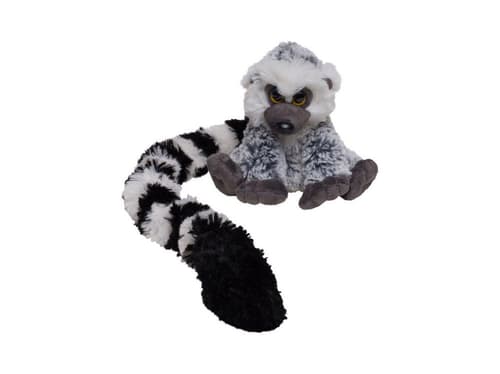 Lemur Long Tail von Nature Planet