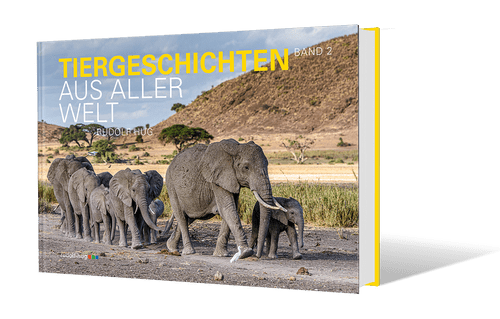 Tiergeschichten aus aller Welt, Band 2