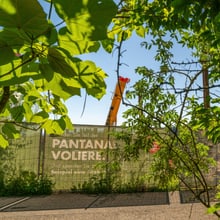Baustelle Pantanal Feuchtgebiet