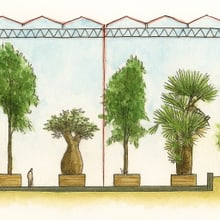 KI-generierte Architekturzeichnung zur Visualisierung des Ndoki Gartens.