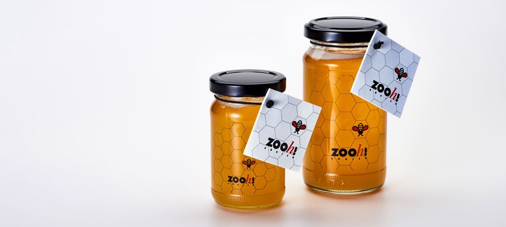 Onlineshop Zoo Zurich