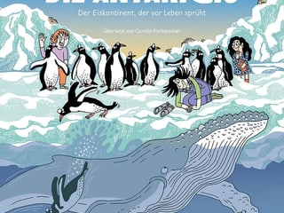 Pinguine und Wale in der Antarktis