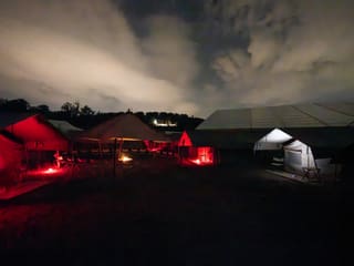Nachtwandeln in der Lewa Savanne des Zoo Zürich.