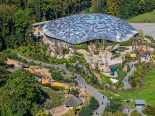 Kaeng Krachan Elefantenpark im Zoo Zürich.