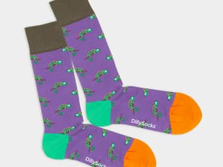 DillySocks Zooh! Masoala Charmeleon