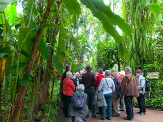 Seniorenrundgang im Masoala Regenwald