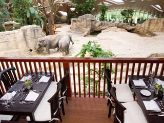Thailodge im Kaeng Krachan Elefantenpark im Zoo Zürich