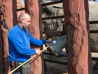 Ein Tierpfleger trainiert im Kaeng Krachan Elefantenpark mit einem Asiatischen Elefanten.