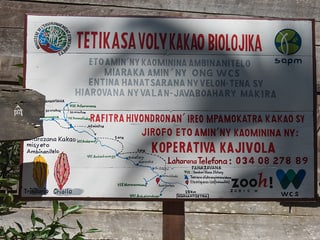 Kooperative Kajivola in Ambinanitelo.