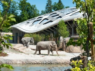 Kaeng Krachan Elefantenpark im Zoo Zürich
