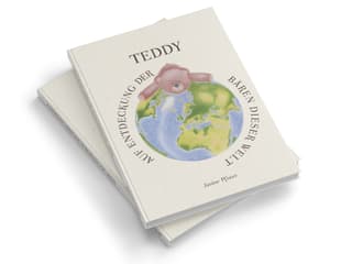 Kinderbuch Teddy
