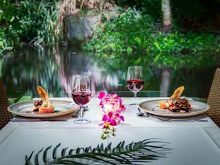 Exotisch Dinieren Masoala Regenwald