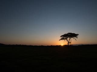 Sonnenuntergang im Lewa Wildlife Conservancy