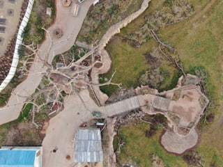 Blick auf Baobab und Steg in der Lewa Savanne im Januar 2020.