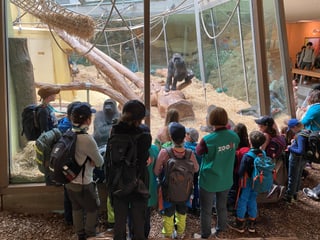 KInder-Zoonachmittag des Freiwilligenteams FTZ im Zoo Zürich.