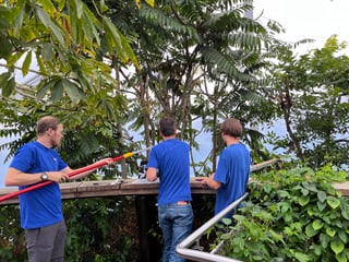 Forschungsteam ETH BiodivX bei Tests im Masoala Regenwald des Zoo Zürich.