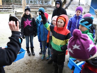 Kinderferienwoche im Zoo, Workshop Tierhaltung, 2016.