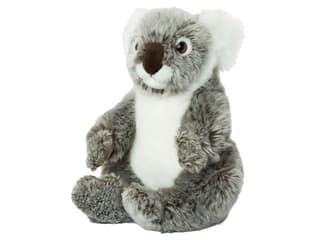 WWF Koala