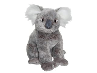 PLAN Koala