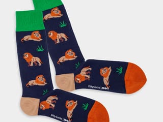 Produktbild der DillySocks-Panthera-Kollektion, Sujet Löwe.