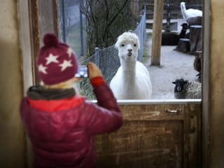 Projektwoche Kinder/Schüler im Zoo Zürich