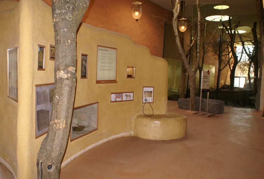 Photo : Zoo de Zurich, Cordula Galeffi Ausstellung im Löwenhaus im Zoo Zürich.