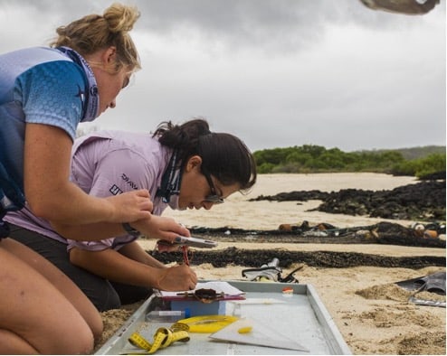 Sammeln von Proben © Galápagos Science Center 