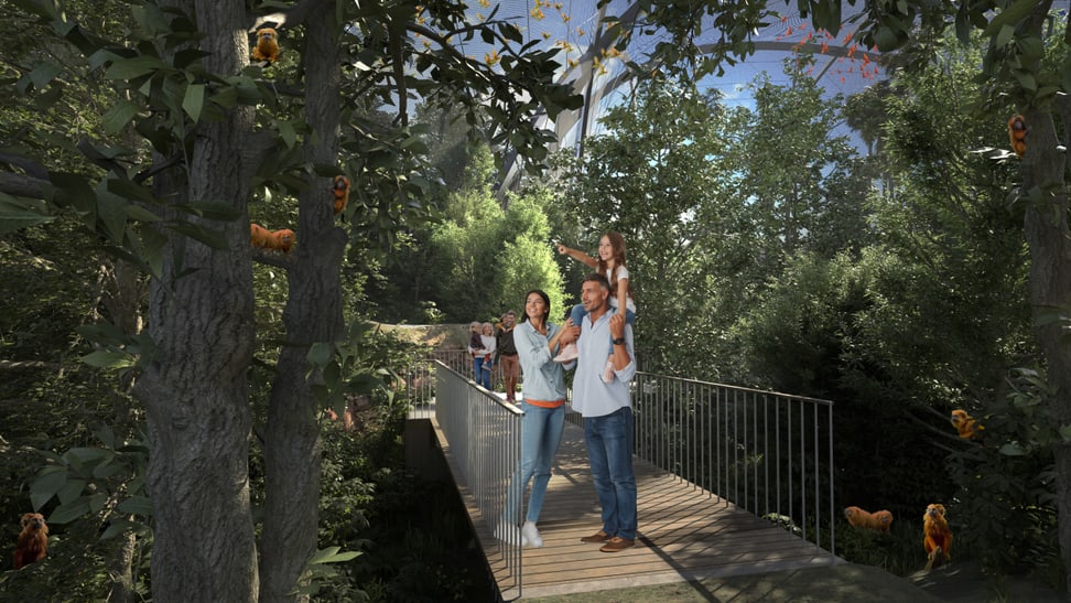 Rendering der geplanten Pantanal Voliere im Zoo Zürich, Blick auf Waldweg.
