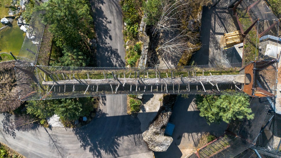 Drone image of the catwalk, the connecting walkway in the Panthera habitat at Zoo Zurich.