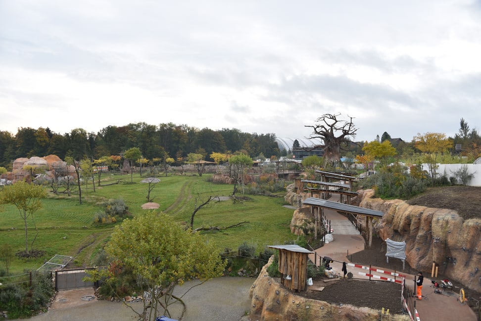 Foto: Zoo Zürich, Robert Zingg Blick über die im Bau befindliche Lewa Savanne im Zoo Zürich.
