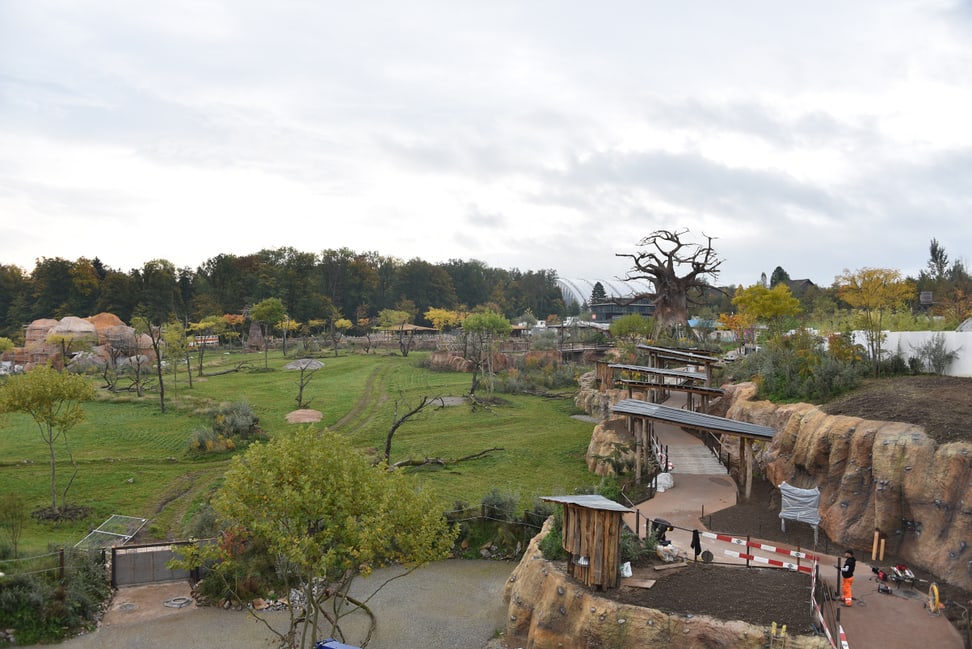 Blick über die im Bau befindliche Lewa Savanne im Zoo Zürich.