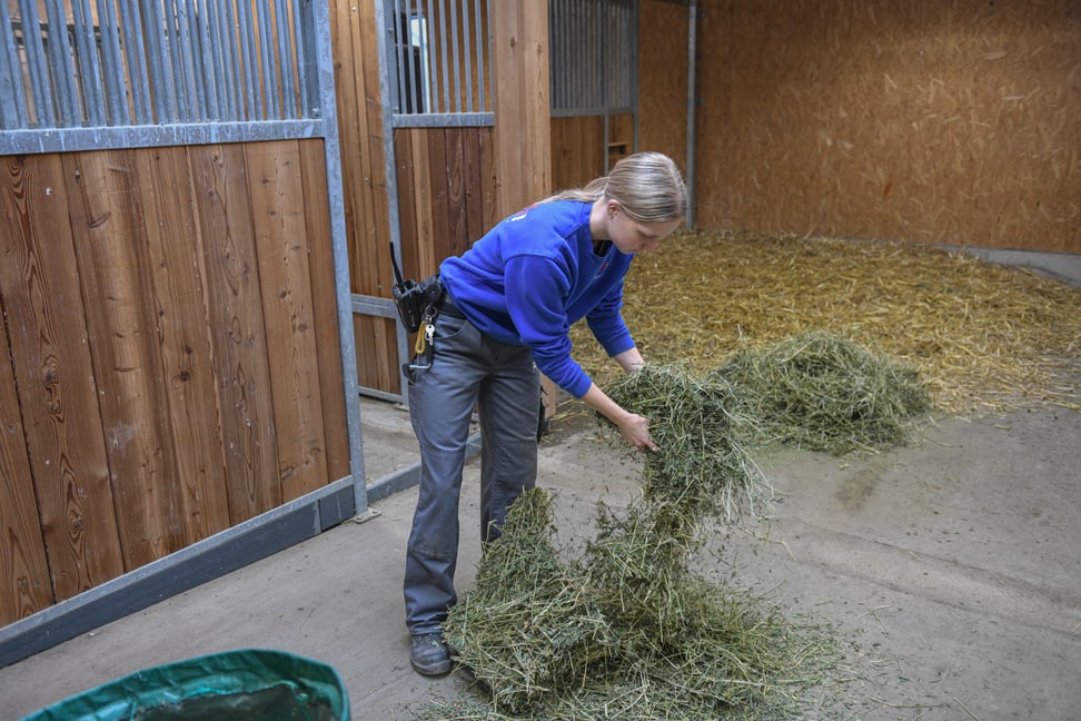 Auszubildende des Berufsprofils Wildtierpflege im Zoo Zürich.