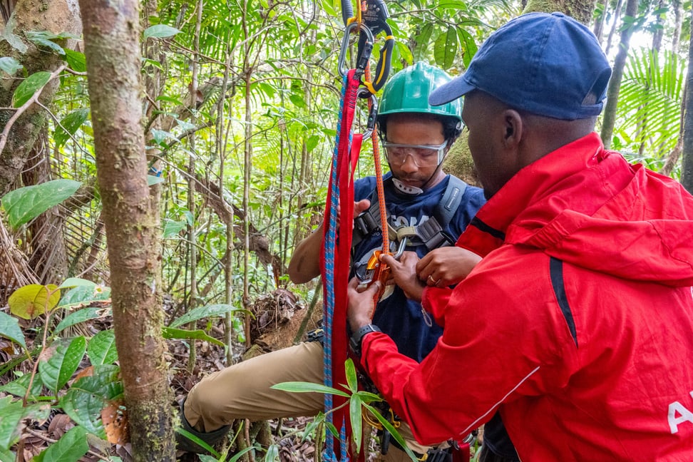 Wissenschafter von WCS Madagascar machen sich bereit, um die Speicherkarte einer Wildtierkamera in einer Baumkrone im Makira Natural Park zu wechseln.