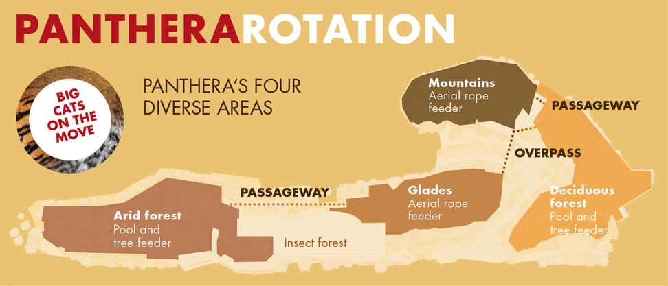 Graphic representation of the rotation principle in the Panthera habitat at Zoo Zurich.