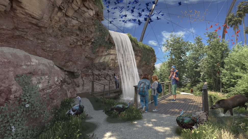 Rendering der geplanten Pantanal Voliere im Zoo Zürich, Blick auf den Wasserfall.