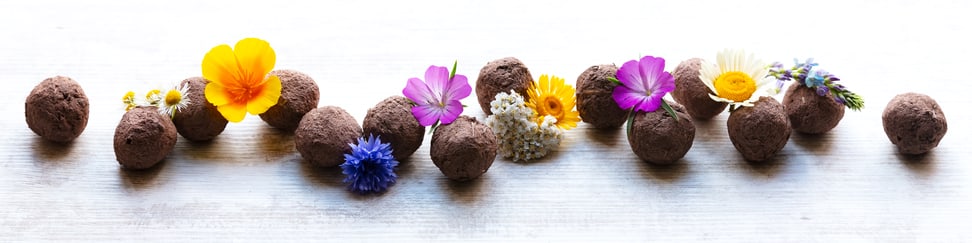 Photo: iStockphoto, miriam-doerr Symbolic image for seed balls.