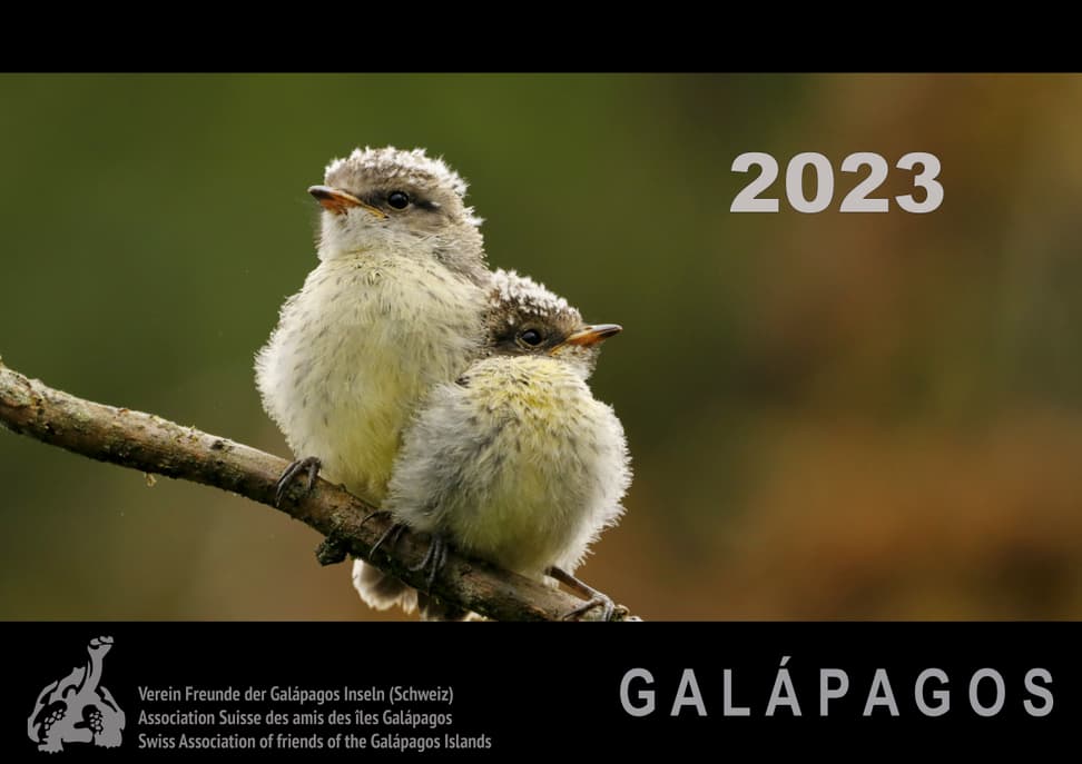Kalendertitelbild 2023