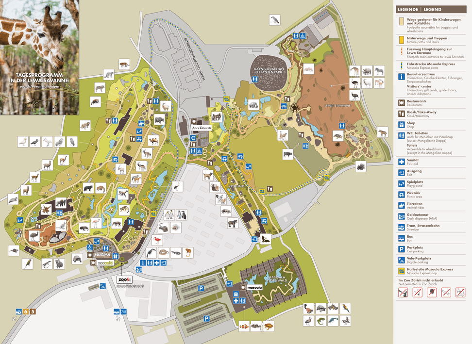 Zooplan