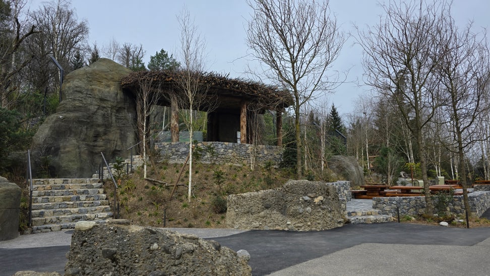 Aufnahme des Eventstandorts Panthera Lichtung im Zoo Zürich.