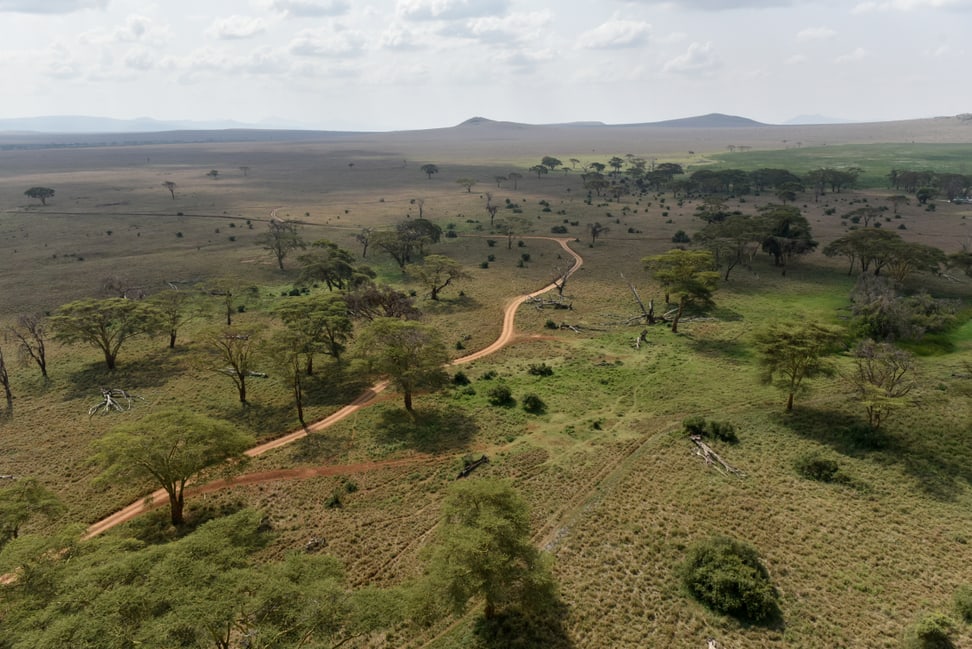 Foto: Zoo Zürich, Martin Bauert Lewa Wildlife Conservancy aus der Luft.