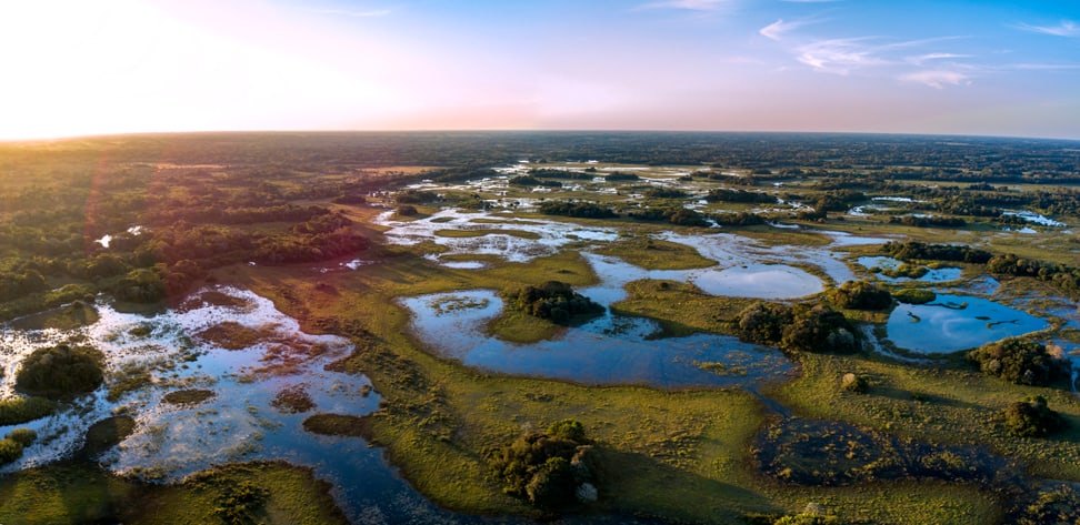Die Pantanal-Region in Corumbá, Mato Grosso do Sul, Brasilien.